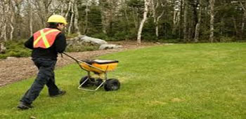 man mowing a lawn